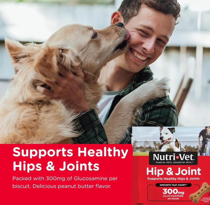 Nutri-Vet Hip and Joint Biscuits for Dogs Extra Strength