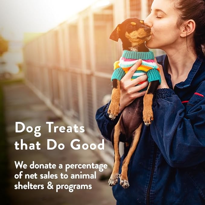 Portland Pet Food Company Grain & Gluten Free Pumpkin Biscuits